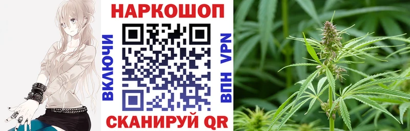 Что такое Владимир COCAIN Бошки Шишки