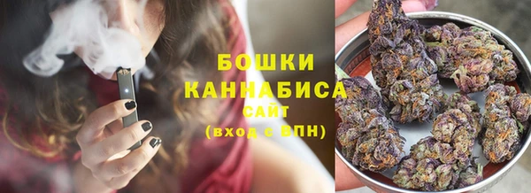ГАЛЛЮЦИНОГЕННЫЕ ГРИБЫ Магас