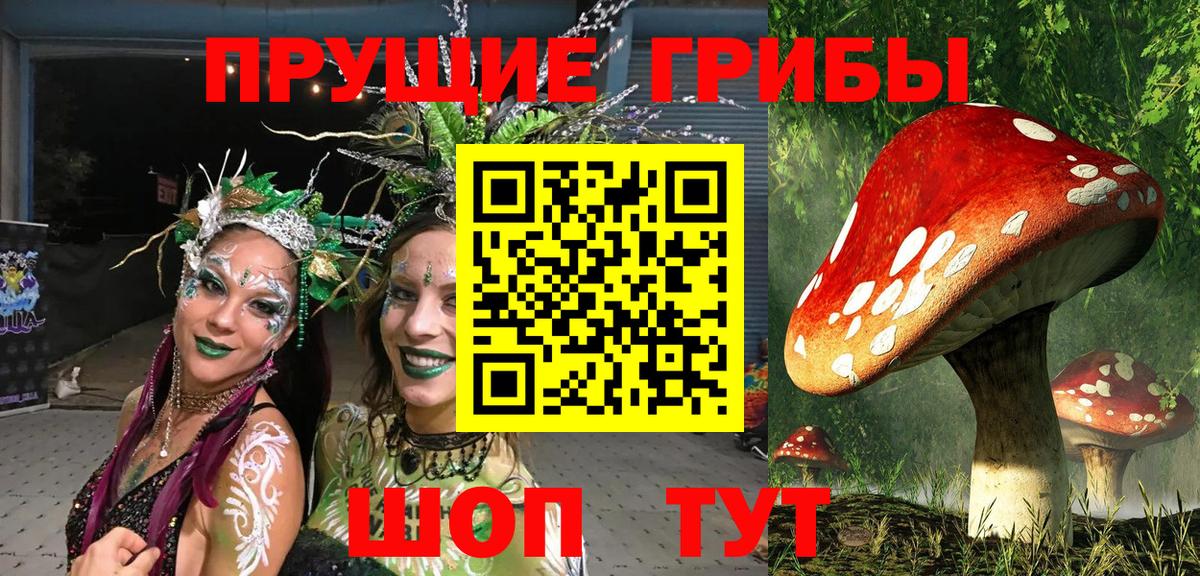 Галлюциногенные грибы MAGIC MUSHROOMS Владимир