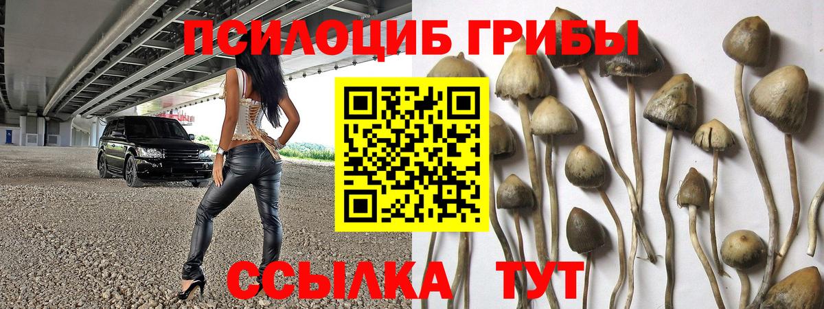 Владимир  Псилоцибиновые грибы прущие грибы  Вход с VPN  Псилоцибиновые грибы ЛСД 